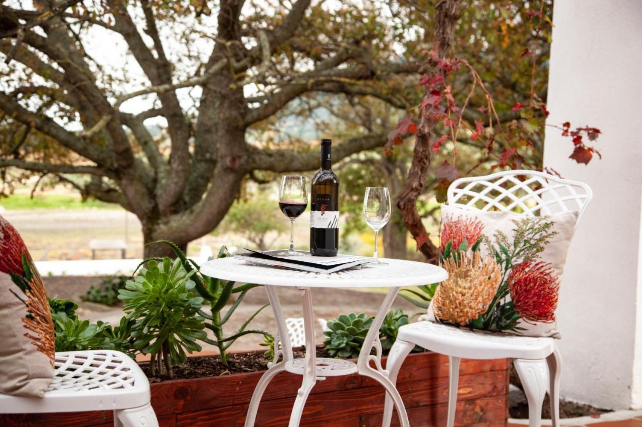 Bed and Breakfast Ayama Wine Farm - Manor House à Wellington Extérieur photo